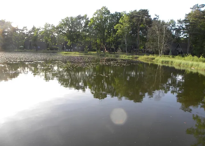 ホリデーパーク Comfortabele Vrijstaande 3 Stramproy