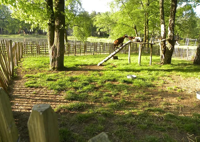 Comfortabele Vrijstaande 3 Stramproy