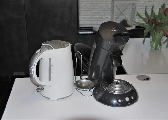 ホリデーパーク Comfortabele Vrijstaande 3 *