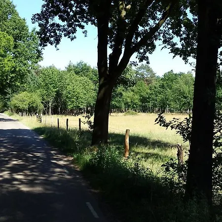 פארק נופש Comfortabele Vrijstaande 3 *