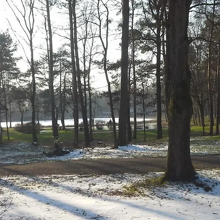 פארק נופש Comfortabele Vrijstaande 3