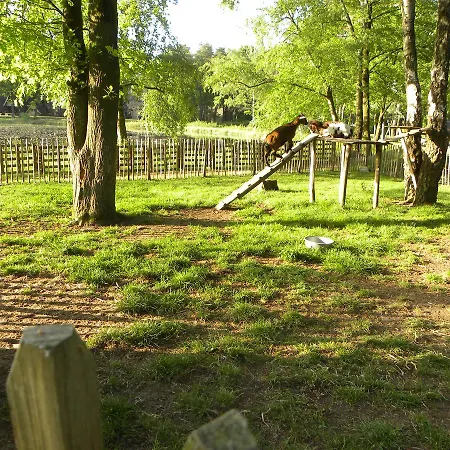 Comfortabele Vrijstaande 3 Stramproy