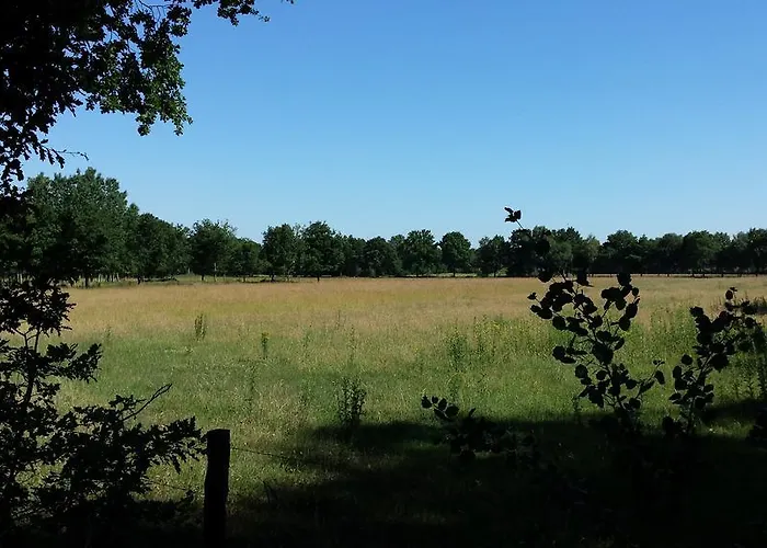 Comfortabele Vrijstaande 3 Parco vacanze *